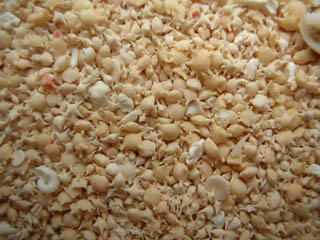 Star Sand, Taketomi Island